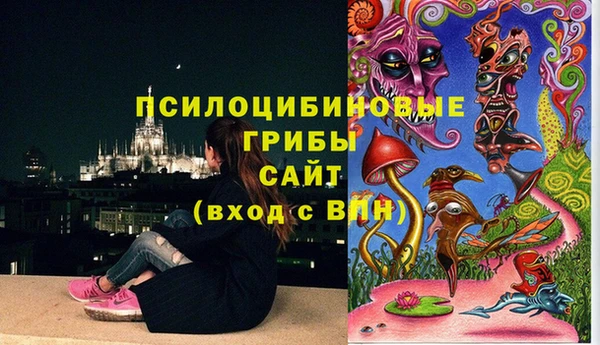 марки lsd Белокуриха